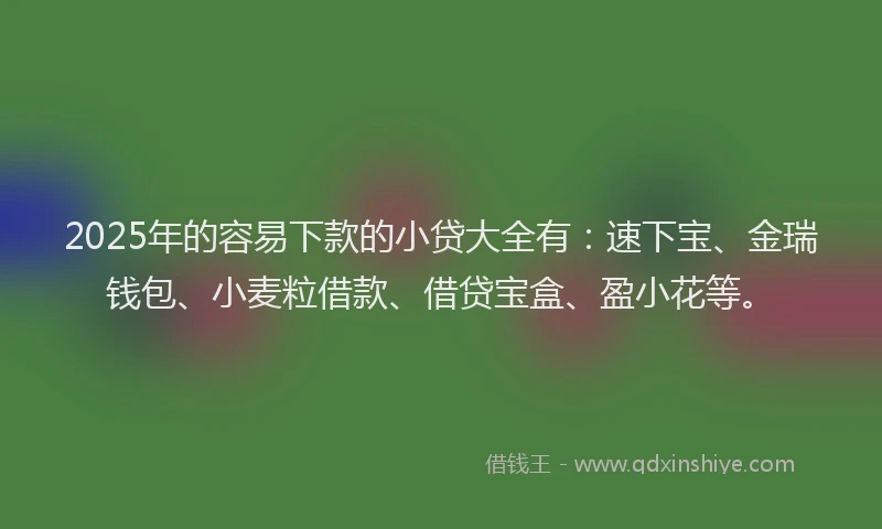2025年的容易下款的小贷大全有：速下宝、金瑞钱包、小麦粒借款、借贷宝盒、盈小花等。