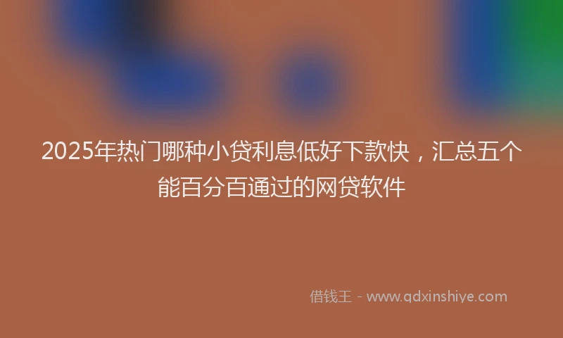 2025年热门哪种小贷利息低好下款快，汇总五个能百分百通过的网贷软件