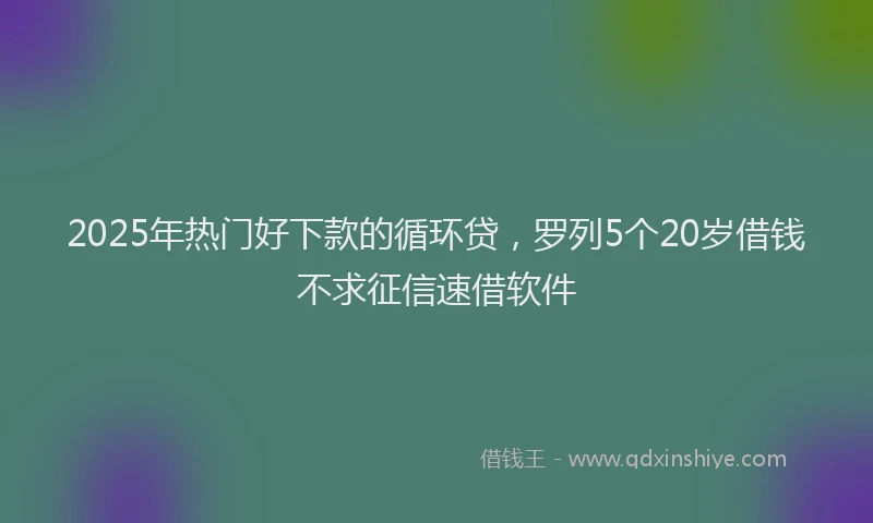 2025年热门好下款的循环贷，罗列5个20岁借钱不求征信速借软件