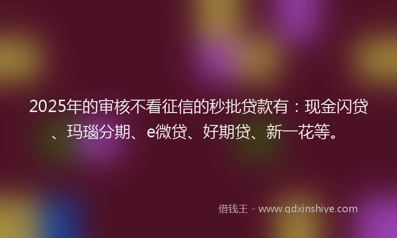 2025年的审核不看征信的秒批贷款有：现金闪贷、玛瑙分期、e微贷、好期贷、新一花等。