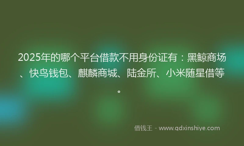 2025年的哪个平台借款不用身份证有：黑鲸商场、快鸟钱包、麒麟商城、陆金所、小米随星借等。
