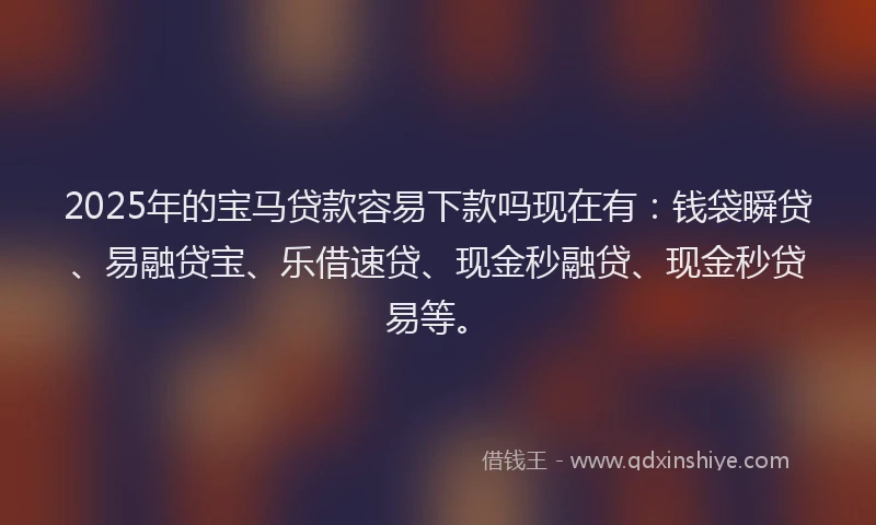 2025年的宝马贷款容易下款吗现在有：钱袋瞬贷、易融贷宝、乐借速贷、现金秒融贷、现金秒贷易等。