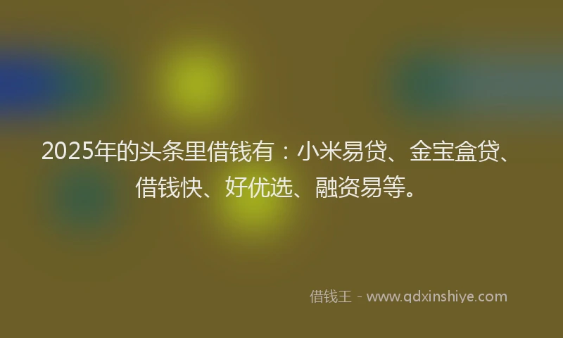 2025年的头条里借钱有：小米易贷、金宝盒贷、借钱快、好优选、融资易等。