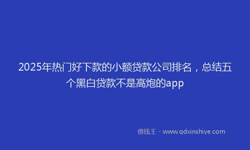 2025年热门好下款的小额贷款公司排名，总结五个黑白贷款不是高炮的app