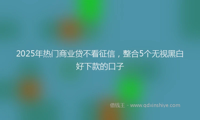 2025年热门商业贷不看征信，整合5个无视黑白好下款的口子