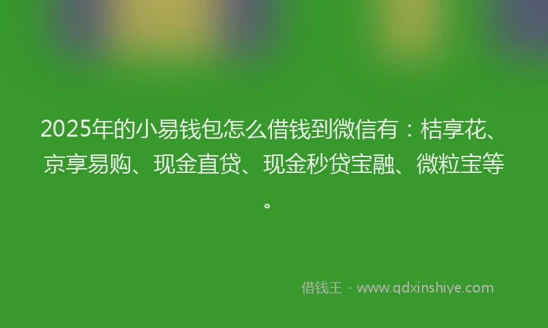 2025年的小易钱包怎么借钱到微信有：桔享花、京享易购、现金直贷、现金秒贷宝融、微粒宝等。