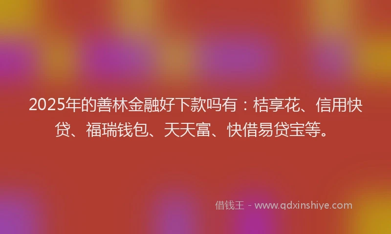 2025年的善林金融好下款吗有：桔享花、信用快贷、福瑞钱包、天天富、快借易贷宝等。