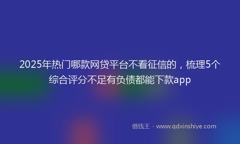2025年热门哪款网贷平台不看征信的，梳理5个综合评分不足有负债都能下款app