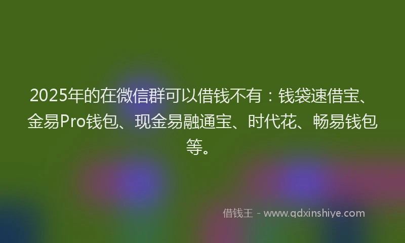 2025年的在微信群可以借钱不有：钱袋速借宝、金易Pro钱包、现金易融通宝、时代花、畅易钱包等。