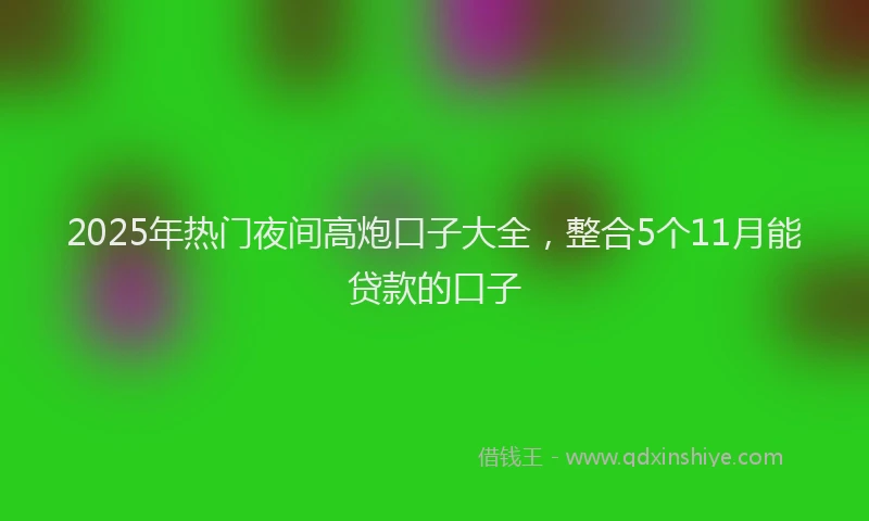 2025年热门夜间高炮口子大全，整合5个11月能贷款的口子