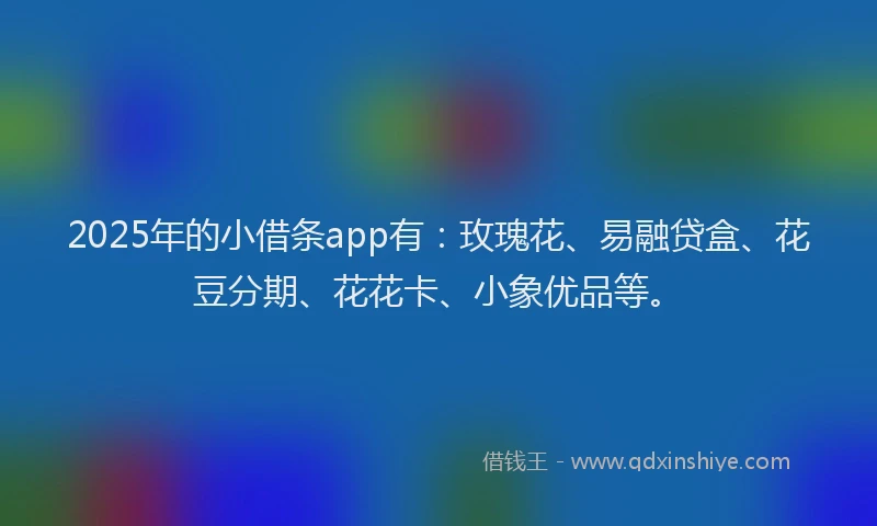 2025年的小借条app有：玫瑰花、易融贷盒、花豆分期、花花卡、小象优品等。