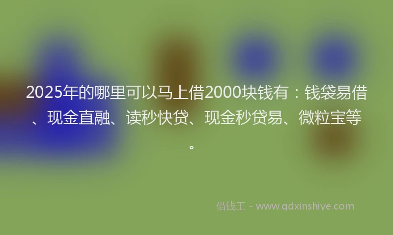 2025年的哪里可以马上借2000块钱有：钱袋易借、现金直融、读秒快贷、现金秒贷易、微粒宝等。