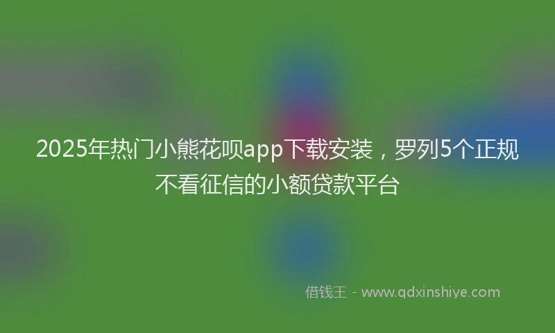 2025年热门小熊花呗app下载安装，罗列5个正规不看征信的小额贷款平台