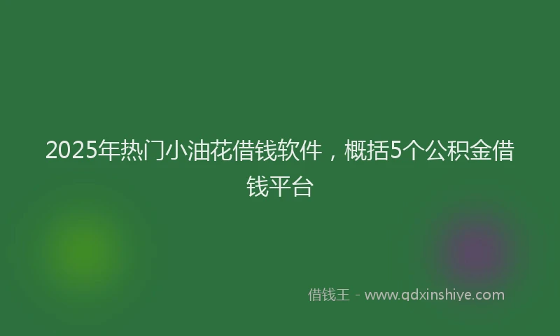 2025年热门小油花借钱软件，概括5个公积金借钱平台
