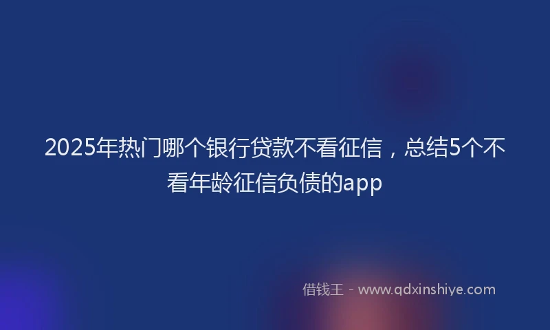 2025年热门哪个银行贷款不看征信，总结5个不看年龄征信负债的app