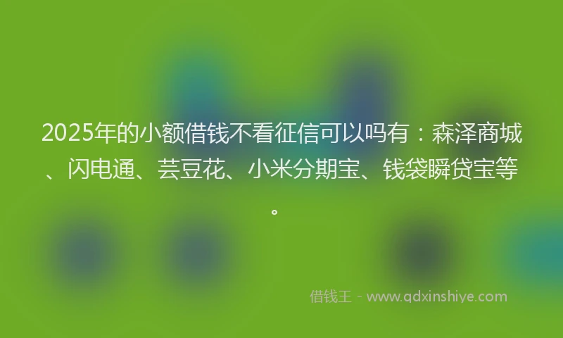 2025年的小额借钱不看征信可以吗有：森泽商城、闪电通、芸豆花、小米分期宝、钱袋瞬贷宝等。