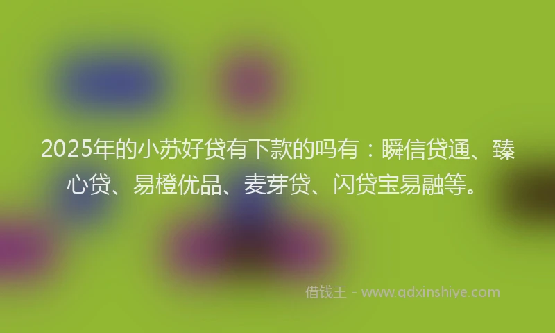 2025年的小苏好贷有下款的吗有：瞬信贷通、臻心贷、易橙优品、麦芽贷、闪贷宝易融等。
