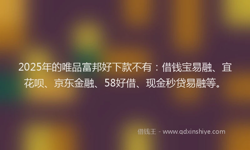 2025年的唯品富邦好下款不有：借钱宝易融、宜花呗、京东金融、58好借、现金秒贷易融等。