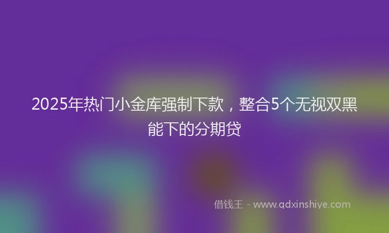 2025年热门小金库强制下款,整合5个无视双黑能下的分期贷