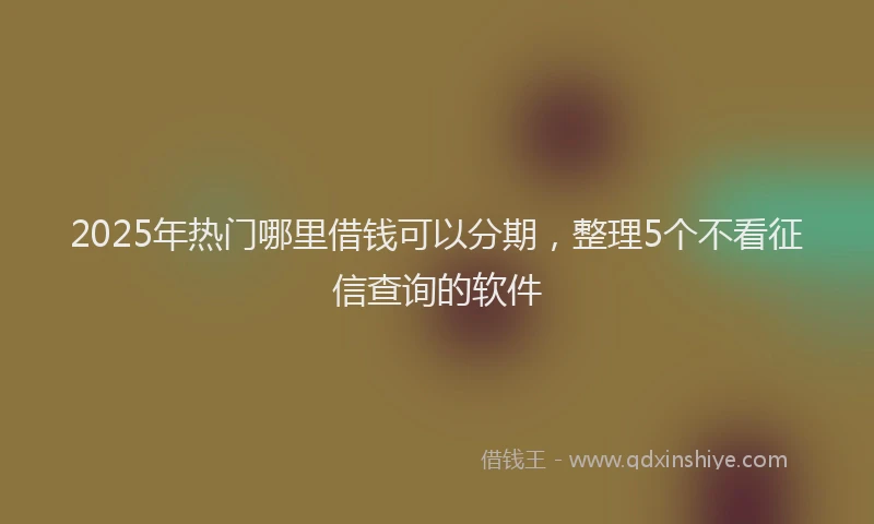 2025年热门哪里借钱可以分期，整理5个不看征信查询的软件