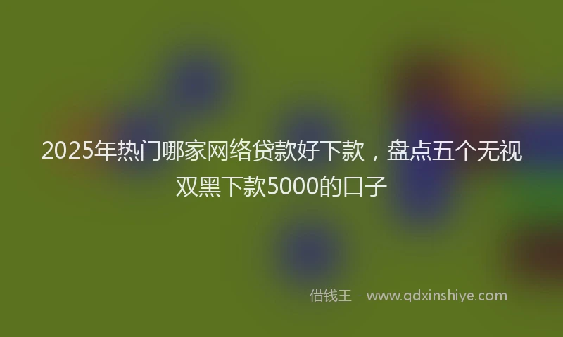 2025年热门哪家网络贷款好下款，盘点五个无视双黑下款5000的口子