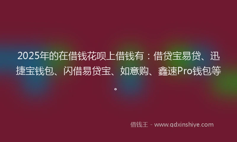 2025年的在借钱花呗上借钱有：借贷宝易贷、迅捷宝钱包、闪借易贷宝、如意购、鑫速Pro钱包等。