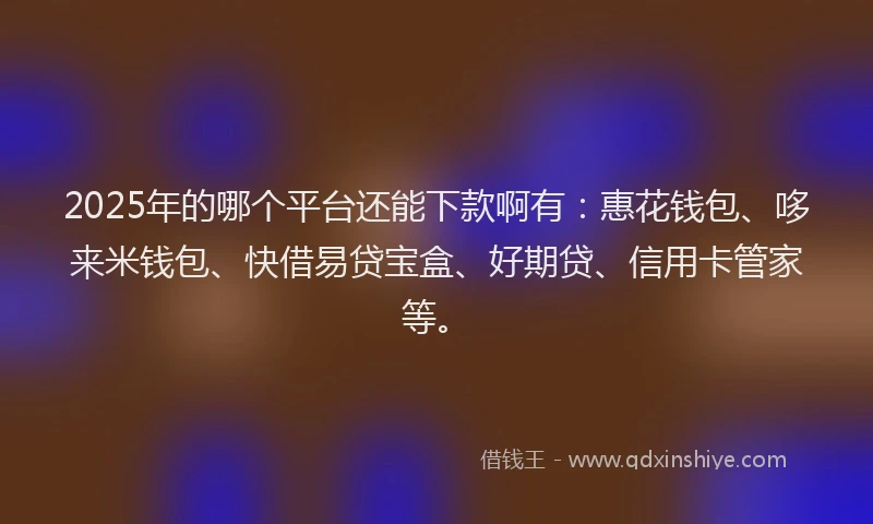 2025年的哪个平台还能下款啊有：惠花钱包、哆来米钱包、快借易贷宝盒、好期贷、信用卡管家等。