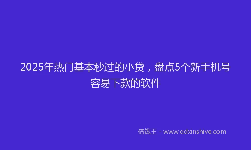 2025年热门基本秒过的小贷，盘点5个新手机号容易下款的软件