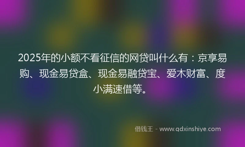 2025年的小额不看征信的网贷叫什么有：京享易购、现金易贷盒、现金易融贷宝、爱木财富、度小满速借等。