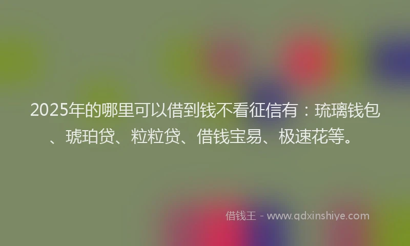 2025年的哪里可以借到钱不看征信有：琉璃钱包、琥珀贷、粒粒贷、借钱宝易、极速花等。