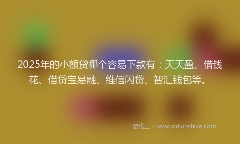 2025年的小额贷哪个容易下款有：天天盈、借钱花、借贷宝易融、维信闪贷、智汇钱包等。