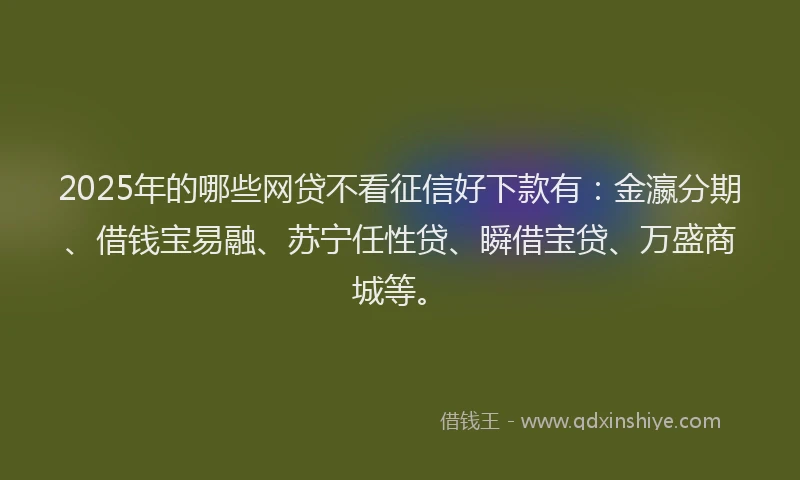 2025年的哪些网贷不看征信好下款有：金瀛分期、借钱宝易融、苏宁任性贷、瞬借宝贷、万盛商城等。