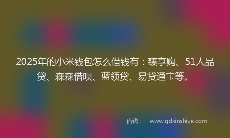 2025年的小米钱包怎么借钱有:臻享购、51人品贷、森森借呗、蓝领贷、易贷通宝等。