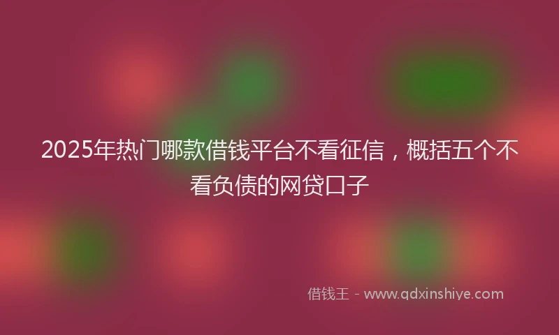 2025年热门哪款借钱平台不看征信，概括五个不看负债的网贷口子