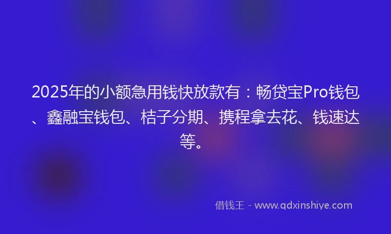 2025年的小额急用钱快放款有：畅贷宝Pro钱包、鑫融宝钱包、桔子分期、携程拿去花、钱速达等。