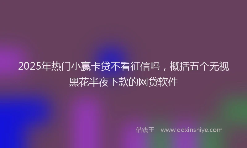2025年热门小赢卡贷不看征信吗，概括五个无视黑花半夜下款的网贷软件