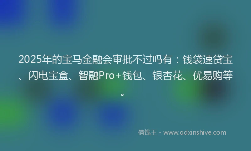 2025年的宝马金融会审批不过吗有：钱袋速贷宝、闪电宝盒、智融Pro+钱包、银杏花、优易购等。