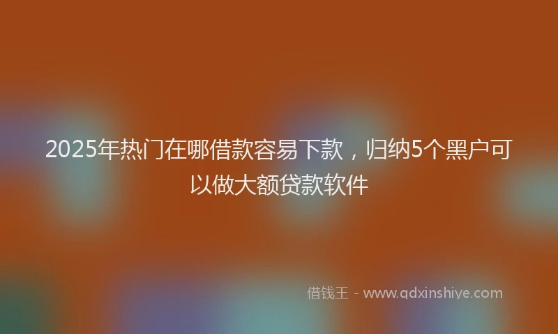 2025年热门在哪借款容易下款，归纳5个黑户可以做大额贷款软件