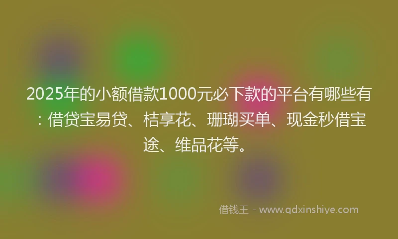 2025年的小额借款1000元必下款的平台有哪些有:借贷宝易贷、桔享花、珊瑚买单、现金秒借宝途、维品花等。