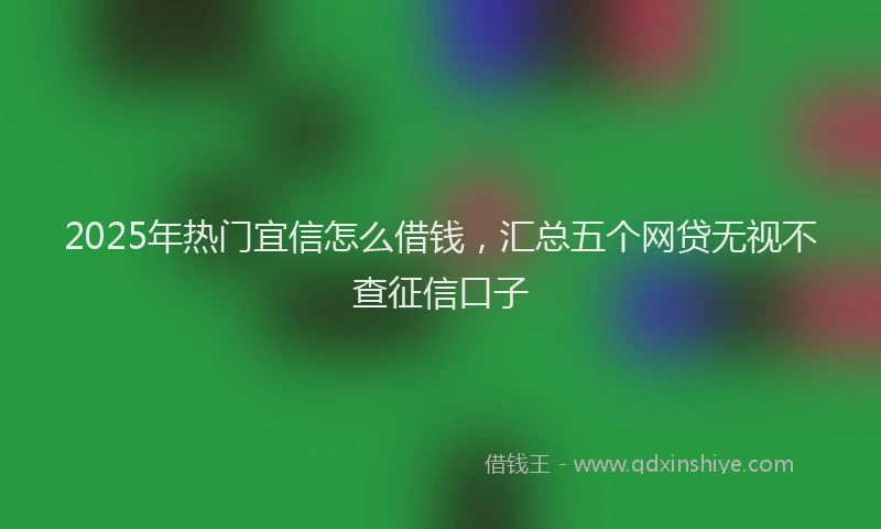 2025年热门宜信怎么借钱，汇总五个网贷无视不查征信口子