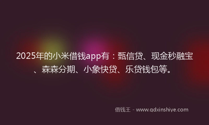 2025年的小米借钱app有：甄信贷、现金秒融宝、森森分期、小象快贷、乐贷钱包等。