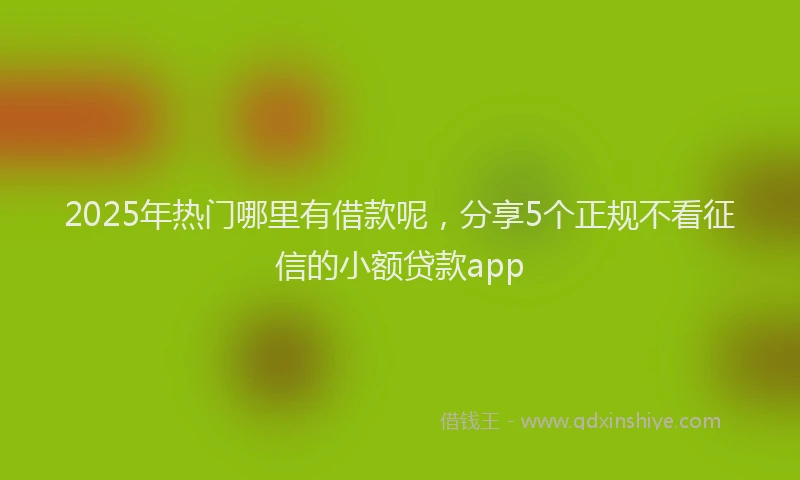 2025年热门哪里有借款呢，分享5个正规不看征信的小额贷款app