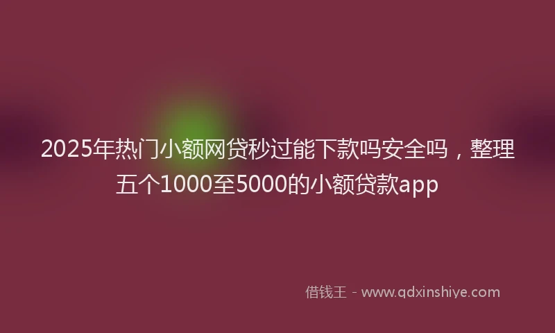 2025年热门小额网贷秒过能下款吗安全吗，整理五个1000至5000的小额贷款app