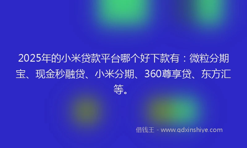 2025年的小米贷款平台哪个好下款有：微粒分期宝、现金秒融贷、小米分期、360尊享贷、东方汇等。
