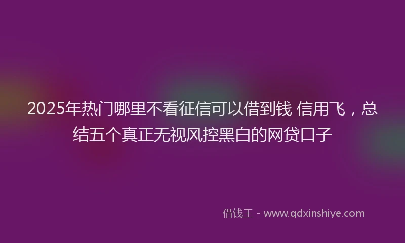 2025年热门哪里不看征信可以借到钱 信用飞，总结五个真正无视风控黑白的网贷口子