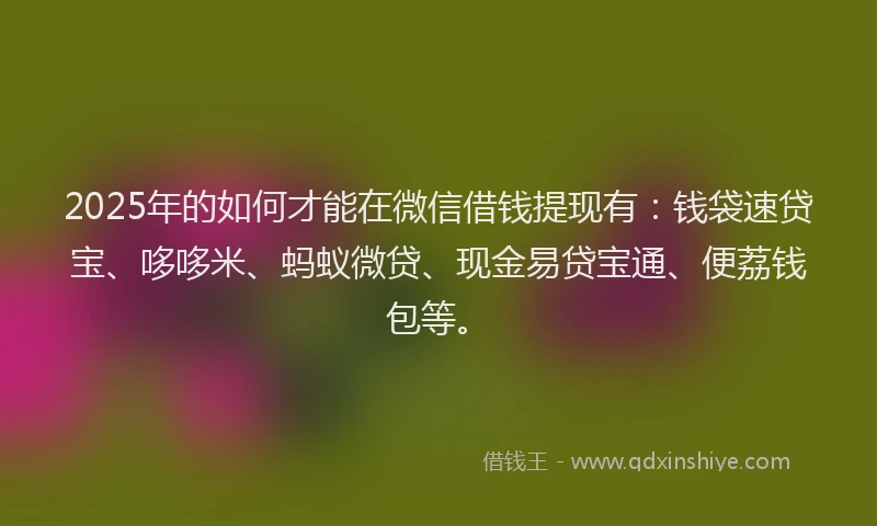 2025年的如何才能在微信借钱提现有：钱袋速贷宝、哆哆米、蚂蚁微贷、现金易贷宝通、便荔钱包等。