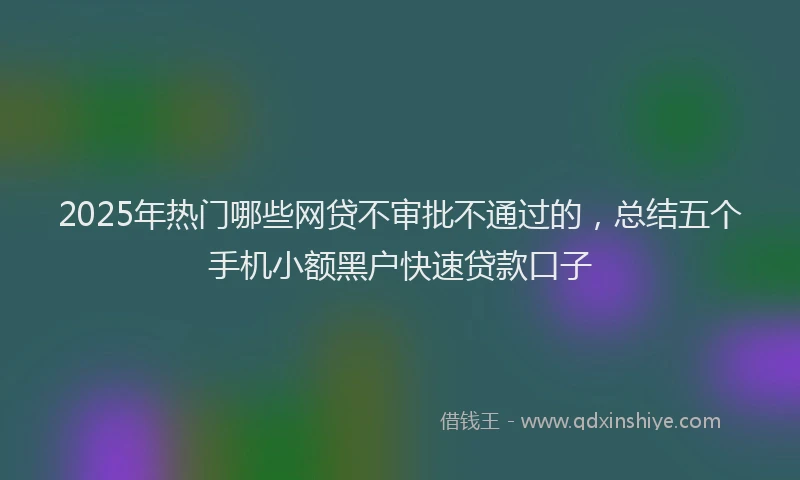 2025年热门哪些网贷不审批不通过的，总结五个手机小额黑户快速贷款口子
