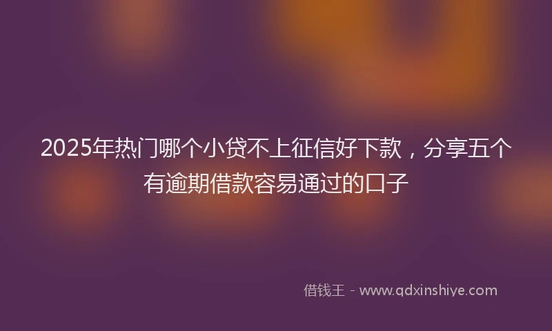 2025年热门哪个小贷不上征信好下款，分享五个有逾期借款容易通过的口子