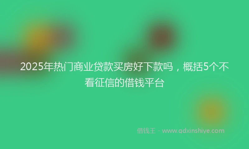 2025年热门商业贷款买房好下款吗，概括5个不看征信的借钱平台