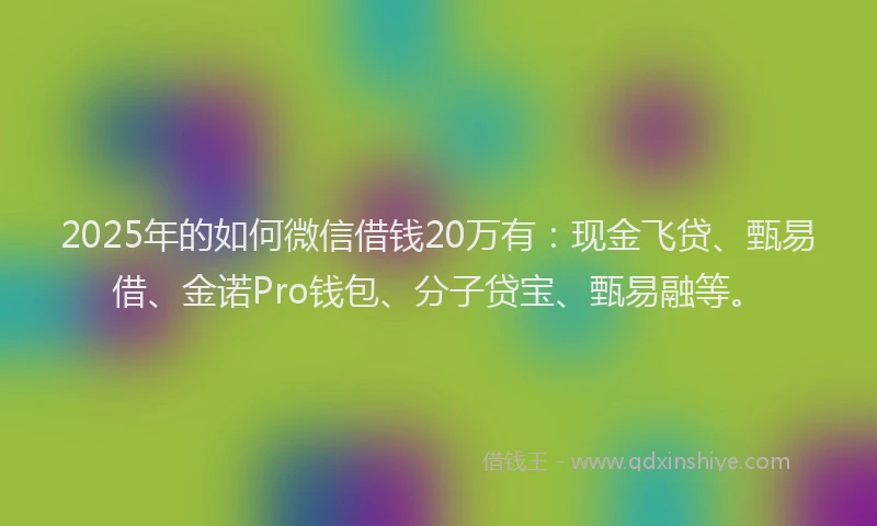 2025年的如何微信借钱20万有：现金飞贷、甄易借、金诺Pro钱包、分子贷宝、甄易融等。